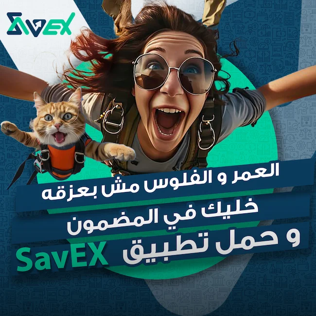 صورة تعريفية عن SavEX 3